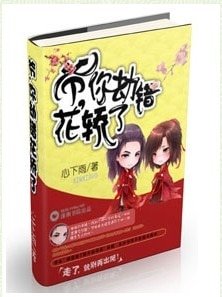 爷，你劫错花轿了